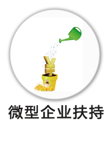 微型企业扶持